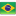 Brasil brazil flag