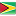 Flag guyana
