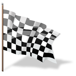 Flag goal checkered finish