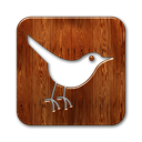 Twitter wood bird