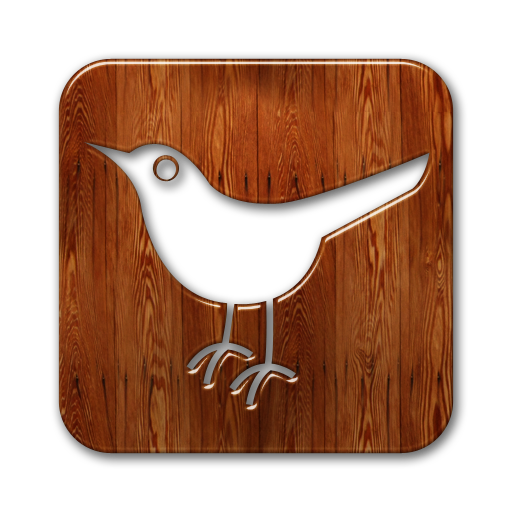 Twitter bird square