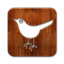 Twitter bird square