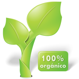 Organic plant leaf nature