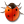 Bug buddy