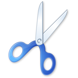 Cut scissors