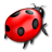 Bug ladybird insect animal