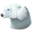 Polar animal bear