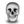 Head skeleton skull