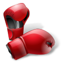 Sport sports gloves boxing box