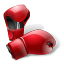 Sport sports gloves boxing box