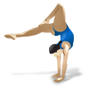 Gymnastics sports