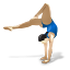Gymnastics sports