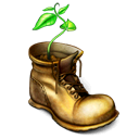 Shoe boot plant