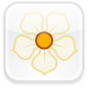 Badge magnolia