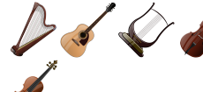 Stringed Instruments