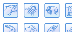 Animal Desktop